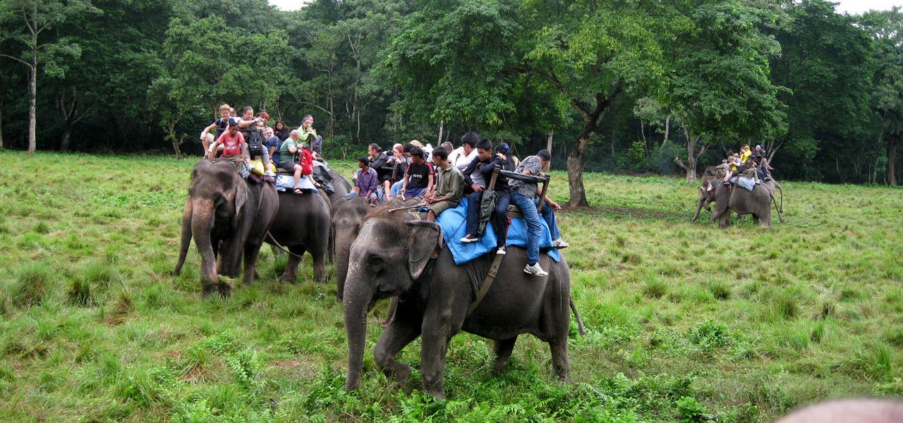 Nepal family tour